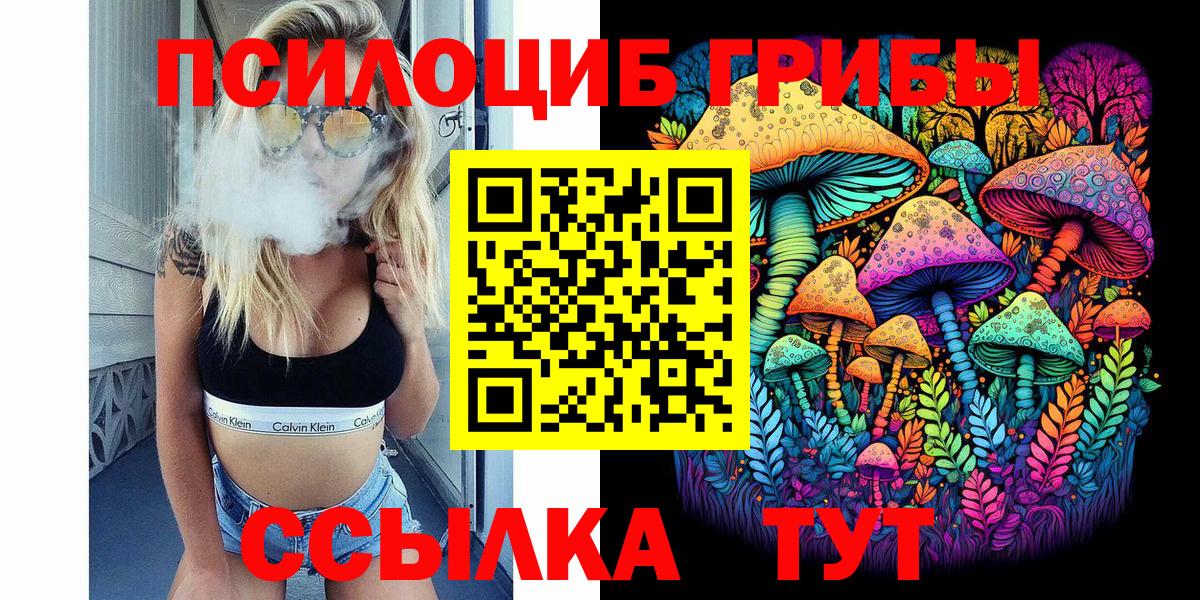 наркота  Вход с VPN  Черкесск  Галлюциногенные грибы Psilocybine cubensis  Псилоцибиновые грибы Psilocybine cubensis 